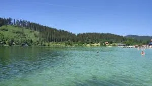 Nur 3 Min zu Skilift & 5Min zum See - آنبرغ
