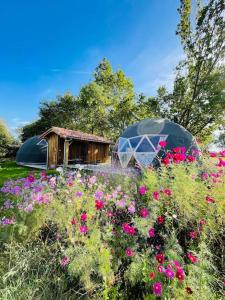 Tentes de luxe Dome insolite Lichen jacuzzi et petits-dejeuners inclus : photos des chambres