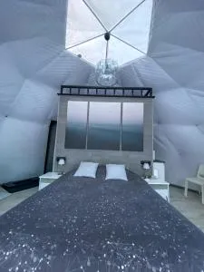 Glempings Anemones - Tukums