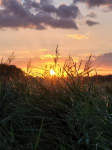 Stonesthrow 184 Broadside Chalet Park Stalham