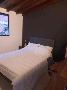 Tribu Medellin House