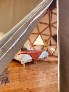 Tentes de luxe Dome insolite Cedre jacuzzi et petits dejeuners inclus : photos des chambres