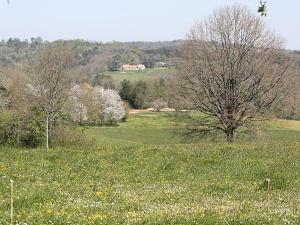 Maison en pierres au cœur du Périgord Noir avec Wifi et animaux bienvenus - FR-1-616-71