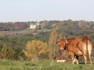 Maison en pierres au cœur du Périgord Noir avec Wifi et animaux bienvenus - FR-1-616-71