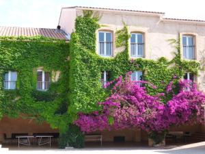 Villages vacances Les Voiles d'Azur : photos des chambres