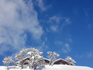 Maisons d'hotes Aux fermes de la Croix, Maison d'hotes, Spa : photos des chambres