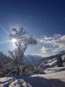 Maisons d'hotes Aux fermes de la Croix, Maison d'hotes, Spa : photos des chambres