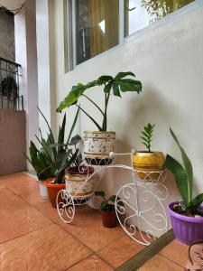 Chue&larrys Beachside Homestay