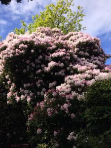 B&B / Chambres d'hotes Le Verger : Chambre Double avec Patio