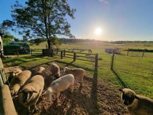 Clandulla Cottages & Farmstay