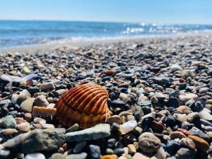 White Sea View Apartment Velipoje