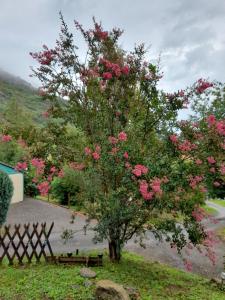 Le chalet de Sabine et Patrick