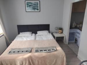 Apartament w centrum