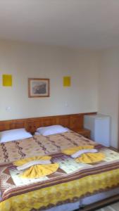 Family Hotel Bansko Sofia