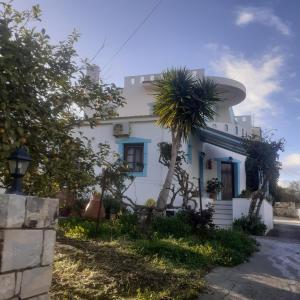 GARDEN HOUSE APARTMENT