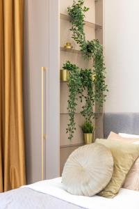 Apartamentai Palangoje