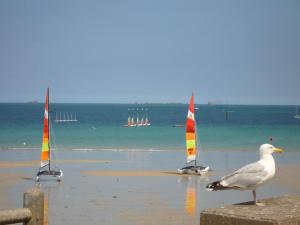 Maisons de vacances Holiday home in Saint-Briac-sur-Mer : photos des chambres