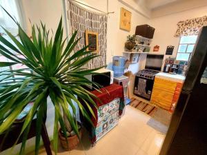 PROMO: Shabby Chic Countryhome with Huge Garden, Jacuzzi Pool, Mini Billiards, Video Karaoke