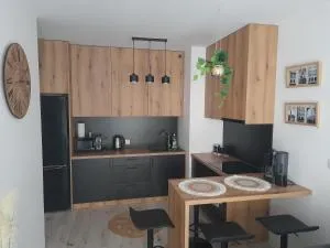 Apartament Amelia - 比乌戈拉伊