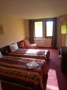 Double or Twin Room with Mountain View room in Hotel Elena