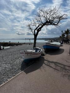 Hotels Hotel du Bord de Mer 