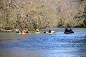 Two Rivers Cabins - The Dell - بريفارد