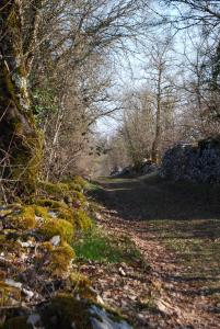 B&B / Chambres d'hotes Les Etoiles de Cales : photos des chambres