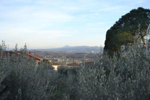 OPERA21 TUSCANY SINGLE HOUSE LUCIGNANO