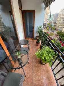 Mimosa’s apartment with lovely balcony