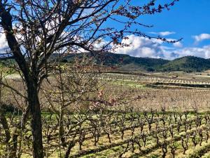 Maisons de vacances Gites Corbieres : photos des chambres