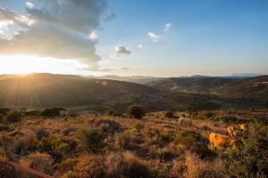 Agriturismo Irghitula img43