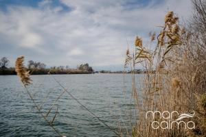 Lo Piset del Riu by MarCalma