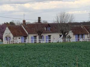 Maisons de vacances Maison Lavande le grande gite : photos des chambres