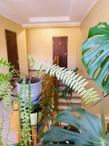 Apartments - Manʼkivka