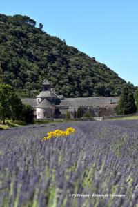 Appartements Bastidon*** 2 Chambres avec Piscine Gordes - Au coeur du Luberon : photos des chambres