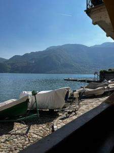 Casa Gelsomino -Casa with garden, near the Lake