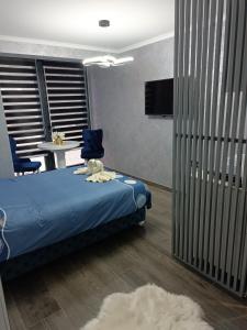 Apartment 1 Novi Sad