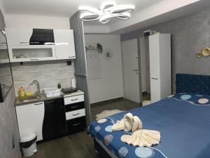Apartment 1 Novi Sad