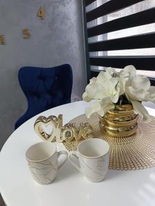 Apartment 1 Novi Sad