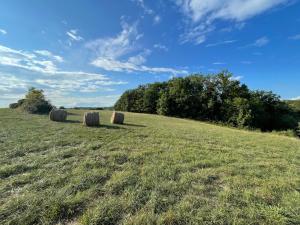 Maisons de vacances Holidayhome for 6 persons at Ferme la Geneste : photos des chambres