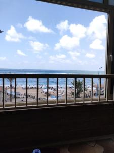 الاسكندرية