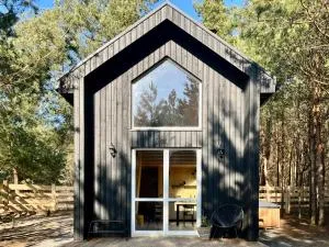 Domki Wśród Boru Sosnowego, Śródborze - Julianów