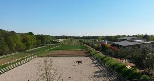 Agriturismo Cascina del Poggio