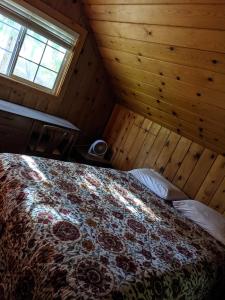 Cabin #3