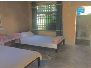 Mountain View Eco Farm