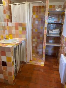 Maisons de vacances Location climatisee, piscine, animaux acceptes, jardin cloture, parking, provence , wifi : photos des chambres