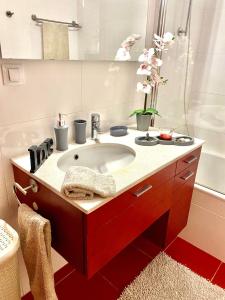 Condomínio Olhos Dágua T1 - Praia, sol e felicidade