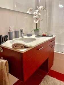 Condomínio Olhos Dágua T1 - Praia, sol e felicidade