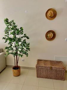 Condomínio Olhos Dágua T1 - Praia, sol e felicidade