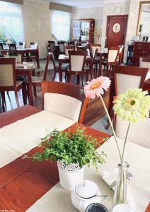 Hotel Lival